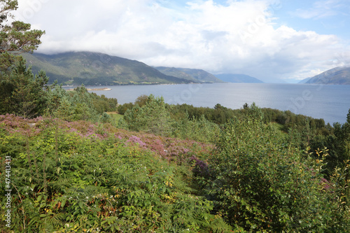 Norwegen - Sognefjord bei Nordrevik und Vadheim / Norway - Sognefjorden near Nordrevik and Vadheim /