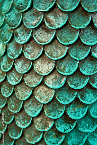 Wallpaper Mural green iron scales as background texture Torontodigital.ca