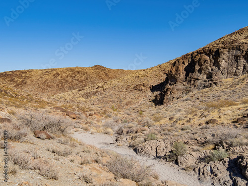 Sunny view of the landscape in Petroglyph Canyon Trail