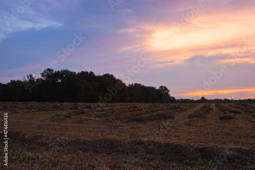 Sunset over baled hay