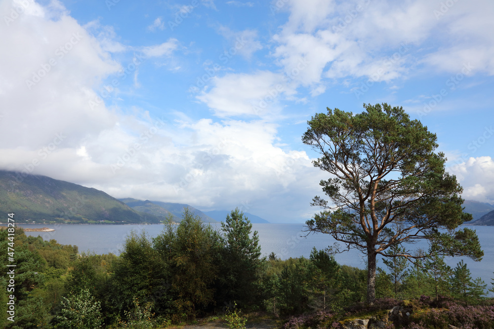 Fototapeta premium Norwegen - Sognefjord bei Nordrevik und Vadheim / Norway - Sognefjorden near Nordrevik and Vadheim /