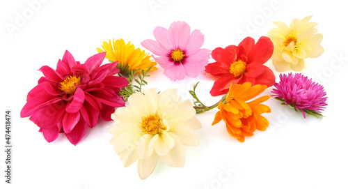 Fotografi Mixed garden flowers isolated on white background