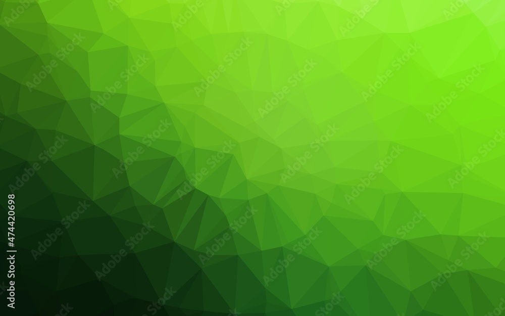 Light Green vector low poly cover. Light Green vector low poly cover.