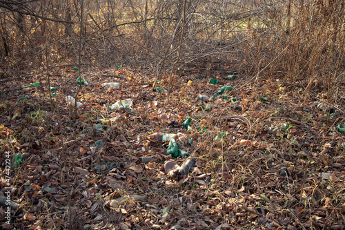 Plastic bottles among the leaves. Garbage among the leaves in the forest. Pollution of nature. Forest pollution in Kyiv