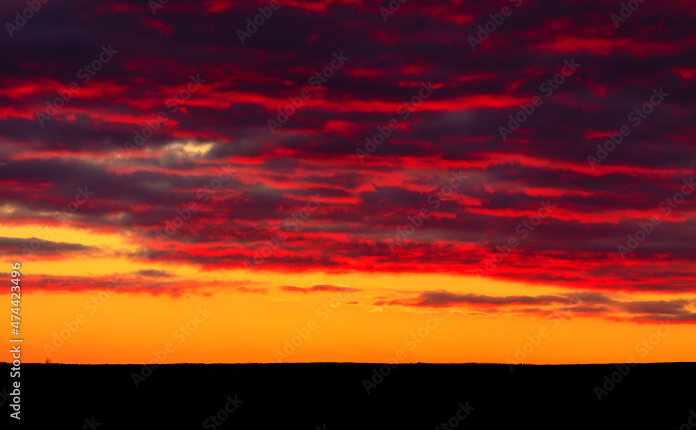 Wonderful summer landscape. Sunset. Bright orange-pink sky at dawn.