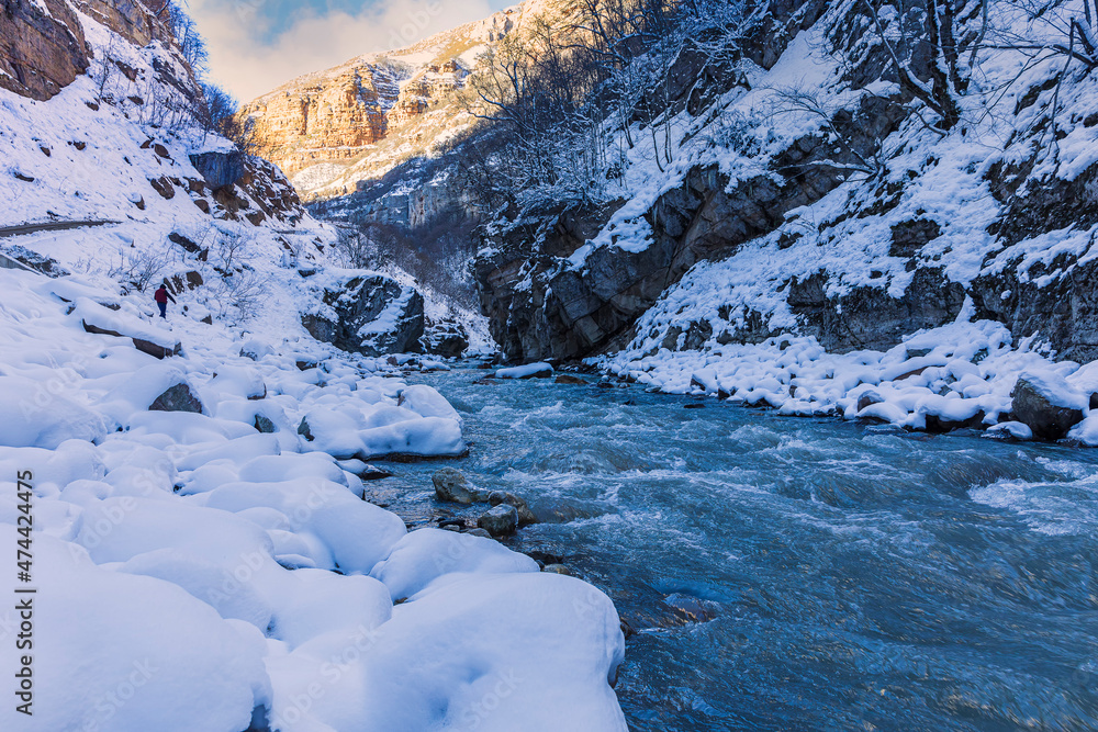 Obraz premium Mountain river flowing in the gorge in winter