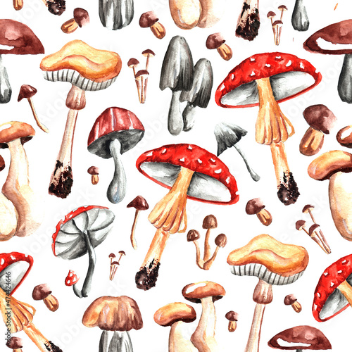 Mushroom set. Seamless pattern of mushrooms. White, chanterelles, honey mushrooms, mushrooms, toadstools, morels. A set of ingredients for a witch's potion. Cartoon style.