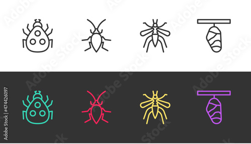 Set line Ladybug, Cockroach, Mosquito and Butterfly cocoon on black and white. Vector