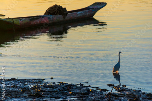 Silhouette at sunset of canoes docked in the grandiose Paraguacu river. photo