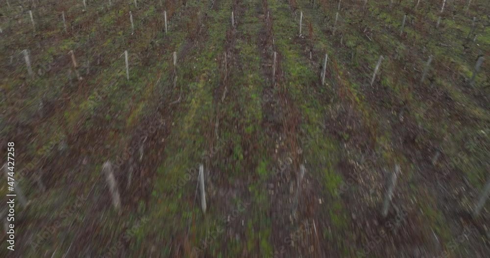 Aerial shot of the vine plantations of Monmousseau during winter in Montrichard, Touraine, next to the Loire Valley, France. Aerial shot of the vine plantations of Monmousseau during winter in Montrichard, Touraine, next to the Loire Valley, France.