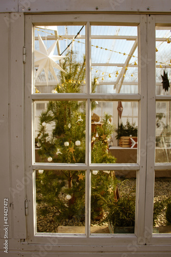 christmas tree in the window