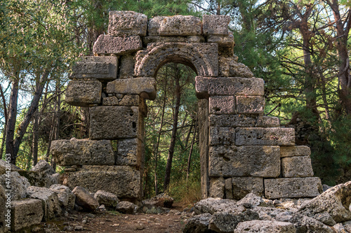 ruins of antique building among the forest in the ancient city of Phaselis photo