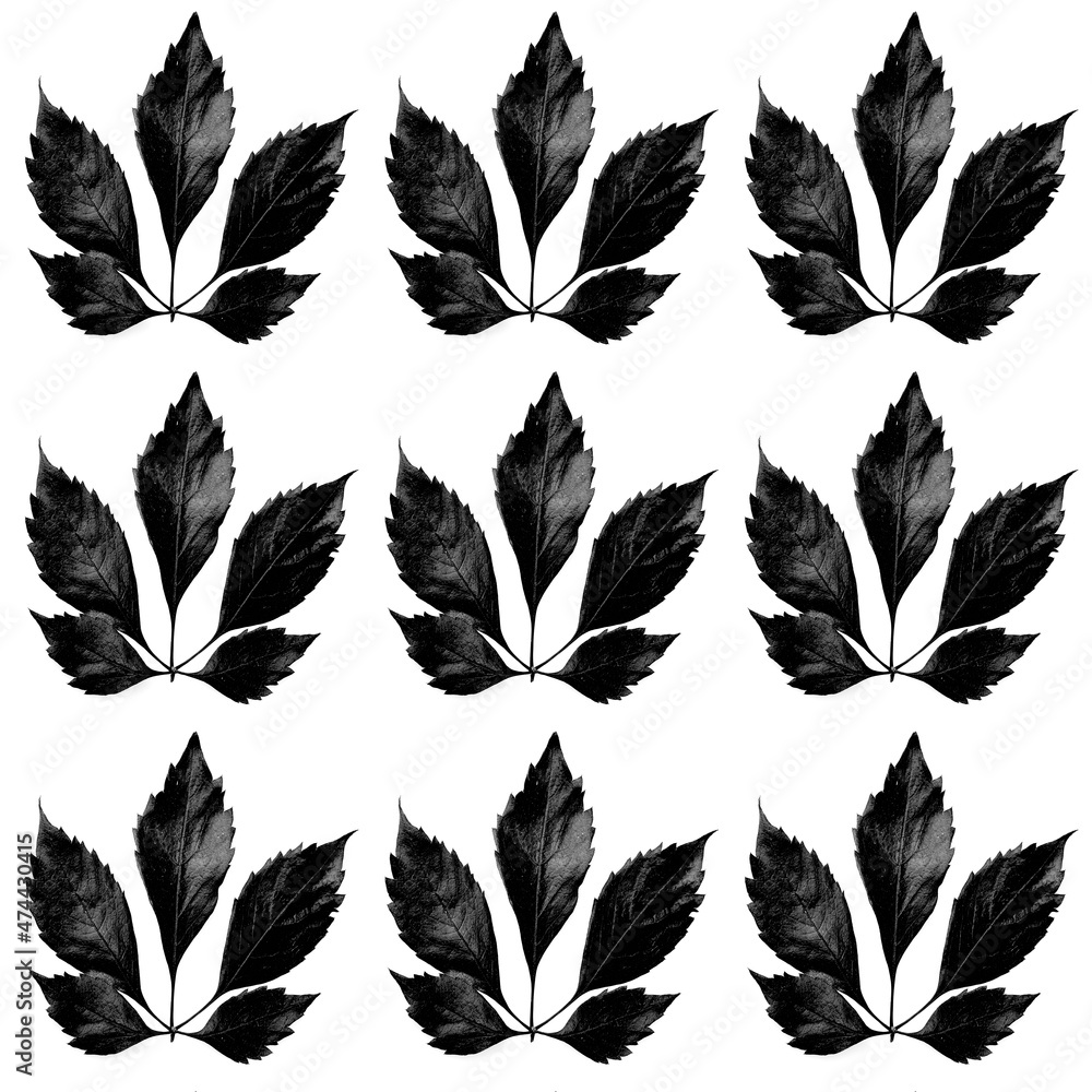 pattern from black leaf silhouette