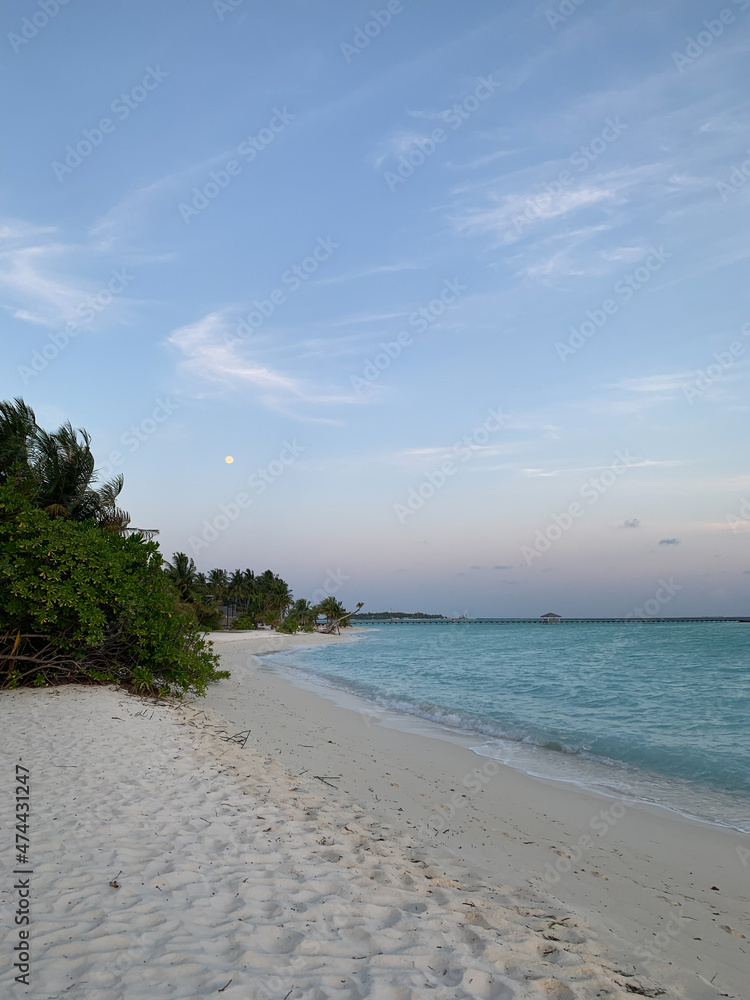 Morning on the shores of the Indian Ocean with white sand, azure water, bushes and palm trees against a blue sky with the moon and clouds