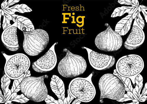 Fig fruit hand drawn package design. Vector illustration. Design, package, brochure illustration. Packaging design. Hand drawn fig fruits design template. Organic fresh food vector illustration.