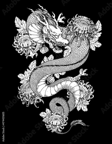 Chinese dragon with chrysanthemum flowers hand drawn vector illustration. Tattoo print. Hand drawn sketch illustration for t-shirt print, fabric and other uses.