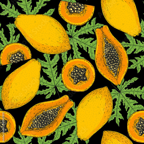 Seamless pattern with papaya fruit . Vector illustration. Design, package, brochure illustration. Packaging design. Hand drawn papaya fruits design template. Organic fresh food vector illustration.