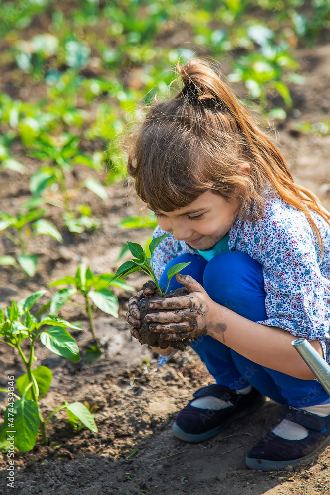 The child is planting seedlings in the garden. Selective focus. The child is planting seedlings in the garden. Selective focus.