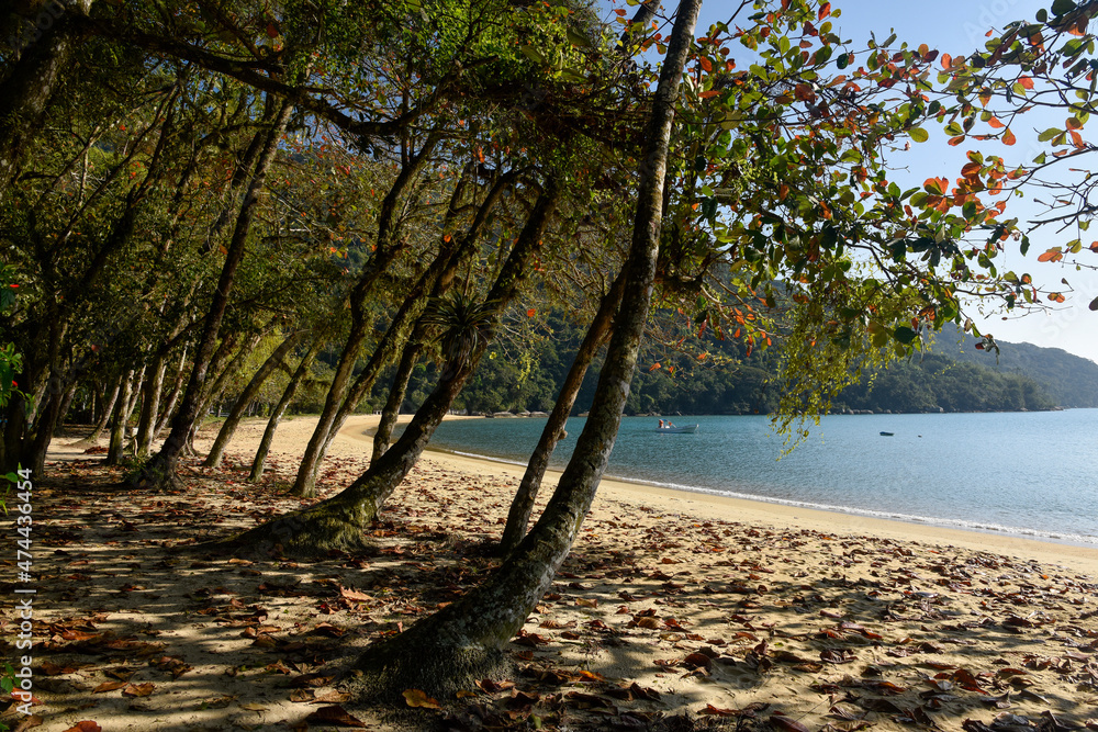 Praia do Pouso no Parque Estadual da Ilha Grande. Praia do Pouso no Parque Estadual da Ilha Grande.