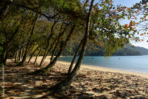 Praia do Pouso no Parque  Estadual da Ilha Grande. photo