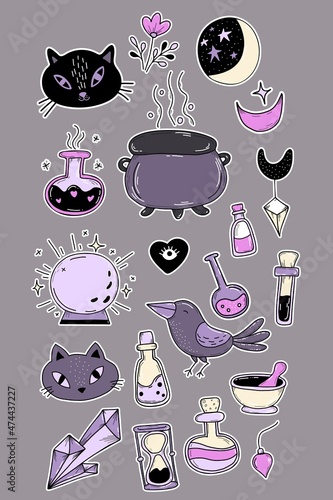 Collection of magical witchcraft amulets and charms for witches. Stickers with ritual objects, plants and animals, crystal and cauldron, cat and magic potion. Vector illustration, isolated elements
