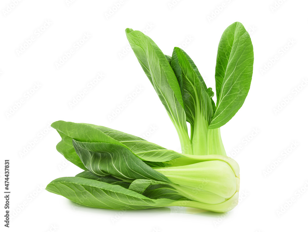 Bok choy (chinese cabbage) isolated on white background. Bok choy (chinese cabbage) isolated on white background.