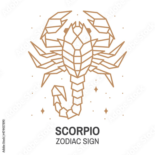 Zodiac astrology horoscope sign scorpio linear design. Vector illustration. Elegant line art symbol or icon of scorpio esoteric zodiacal horoscope templates for logo or poster isolated on white