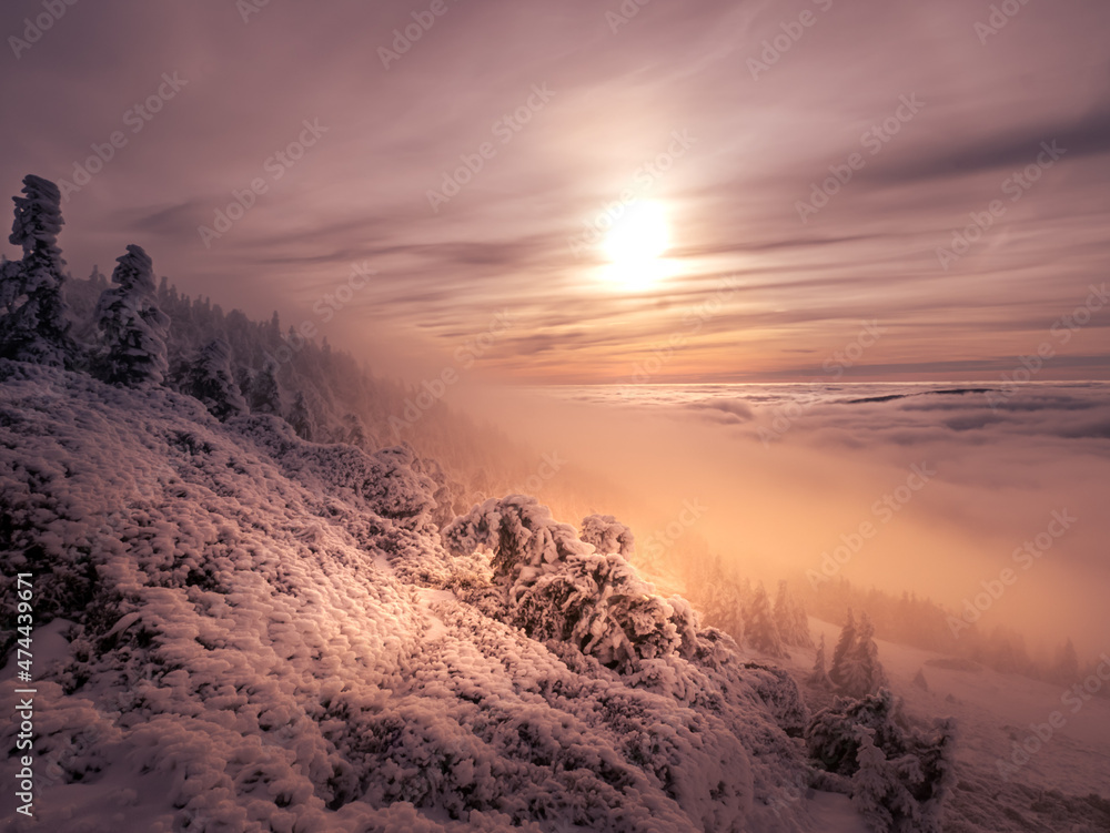 Scenic landscape with a view from a mounatin range to the valley filled with low clouds and fog during temperature inversion,snow,rime,clouds,spruce trees,sun.Jeseniky mountains.Czech republic. . Scenic landscape with a view from a mounatin range to the valley filled with low clouds and fog during temperature inversion,snow,rime,clouds,spruce trees,sun.Jeseniky mountains.Czech republic. .