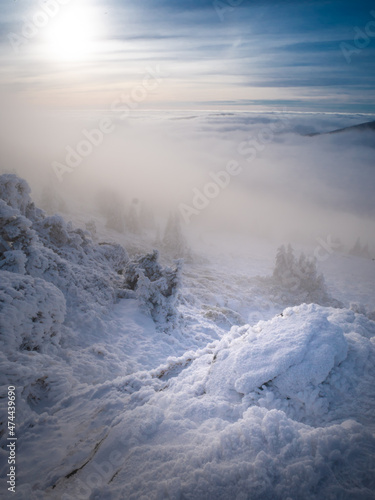 Scenic landscape with a view from a mounatin range to the valley filled with low clouds and fog during temperature inversion  snow rime clouds sunlight spruce trees. Jeseniky mountains.Czech republic.