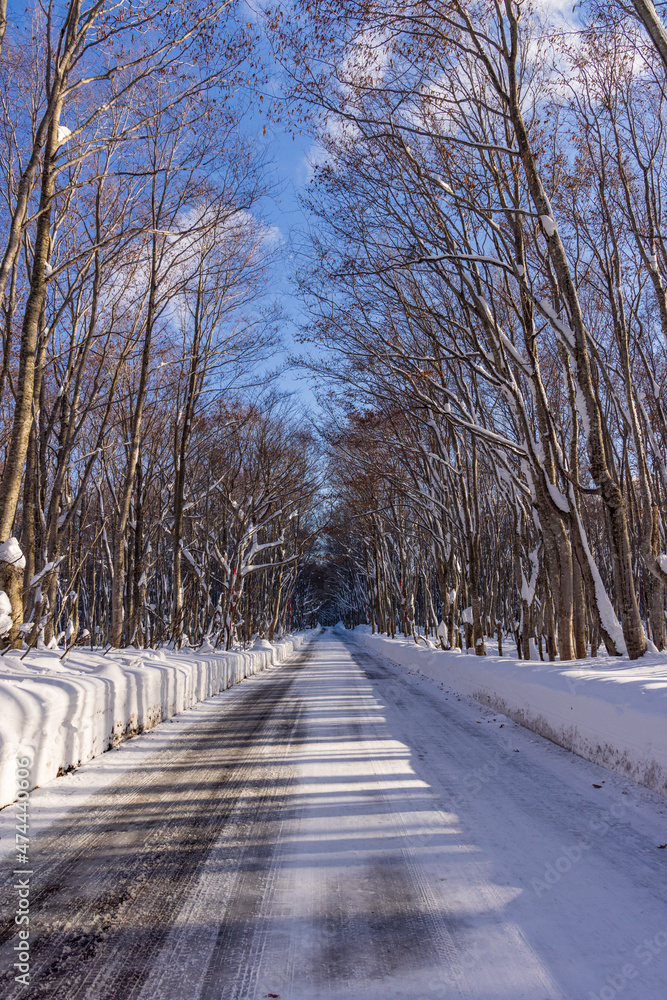 Towada in early winter