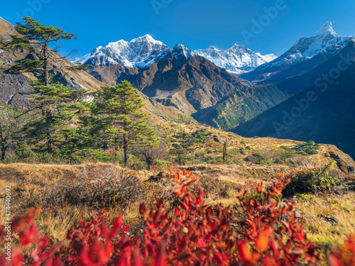 view to valley Khumbu and summits Everest and Ama Dablam through red leaves in clear sunny day photo