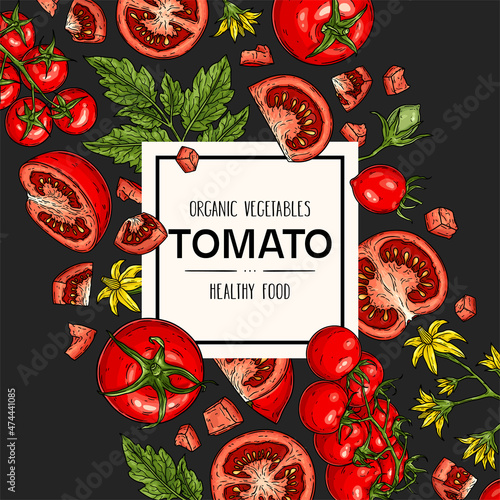 Vector hand drawn background with tomato. Natural botanical lineart illustration.