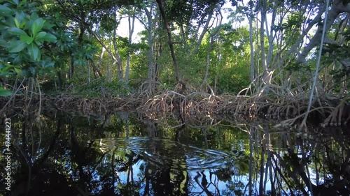 Kayaking into mangrove forest on Coot Bay in Everglades National Park, Florida on sunny winter afternoon.