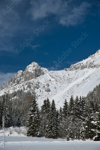 dachstein südflanke im winter mit schnee von ramsau gesehen mit ski touren spuren