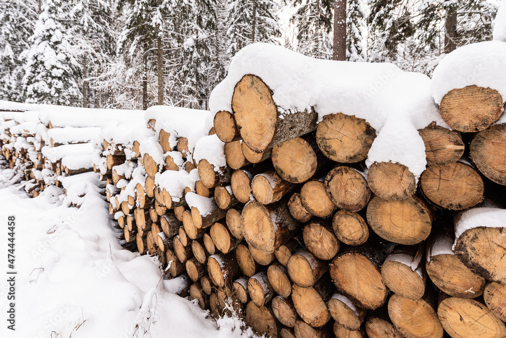 Stack of wooden logs in winter snow with forest background Stack of wooden logs in winter snow with forest background