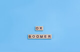 The phrase ok boomer. Wooden blocks with letters on a blue background. Age discrimination concept. Copy space