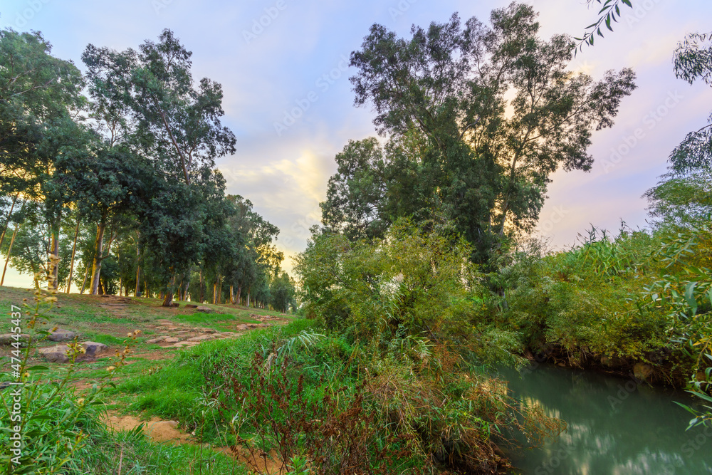 Fototapeta premium Sunset view of the Jordan River with eucalyptus trees