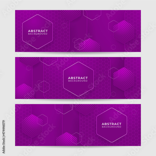 Hexa Purple Abstract Geometric Wide Banner Design Background