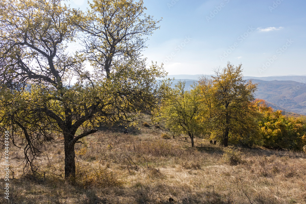 Autumn Landscape of Erul mountain near Kamenititsa peak, Bulgaria Autumn Landscape of Erul mountain near Kamenititsa peak, Bulgaria