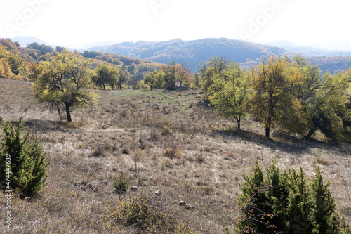 Autumn Landscape of Erul mountain near Kamenititsa peak, Bulgaria