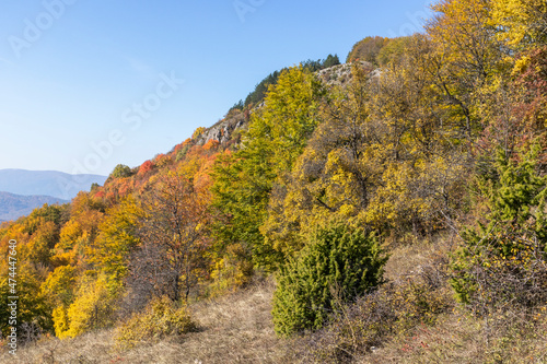Fototapeta Naklejka Na Ścianę i Meble -  Autumn Landscape of Erul mountain near Kamenititsa peak, Bulgaria