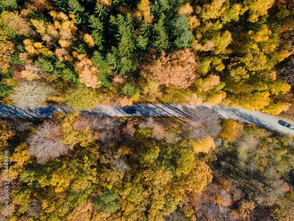Aerial view of road in autumn forest. Fall landscape with road, red, yellow and green trees. Cars passing on road. High quality photo Aerial view of road in autumn forest. Fall landscape with road, red, yellow and green trees. Cars passing on road. High quality photo