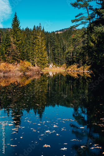 Herbstliche Spiegelung