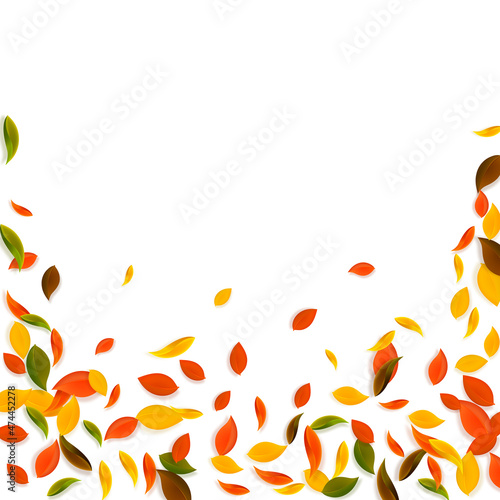 Falling autumn leaves. Red, yellow, green, brown c