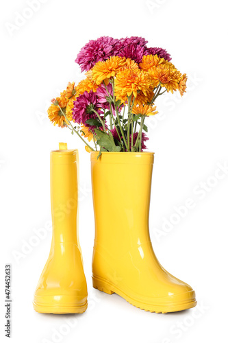 Pair of rubber boots and beautiful autumn flowers on white background