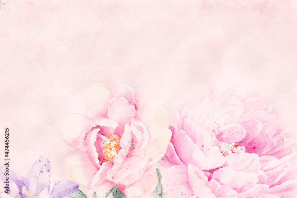 Beautiful rose peony flower illustration