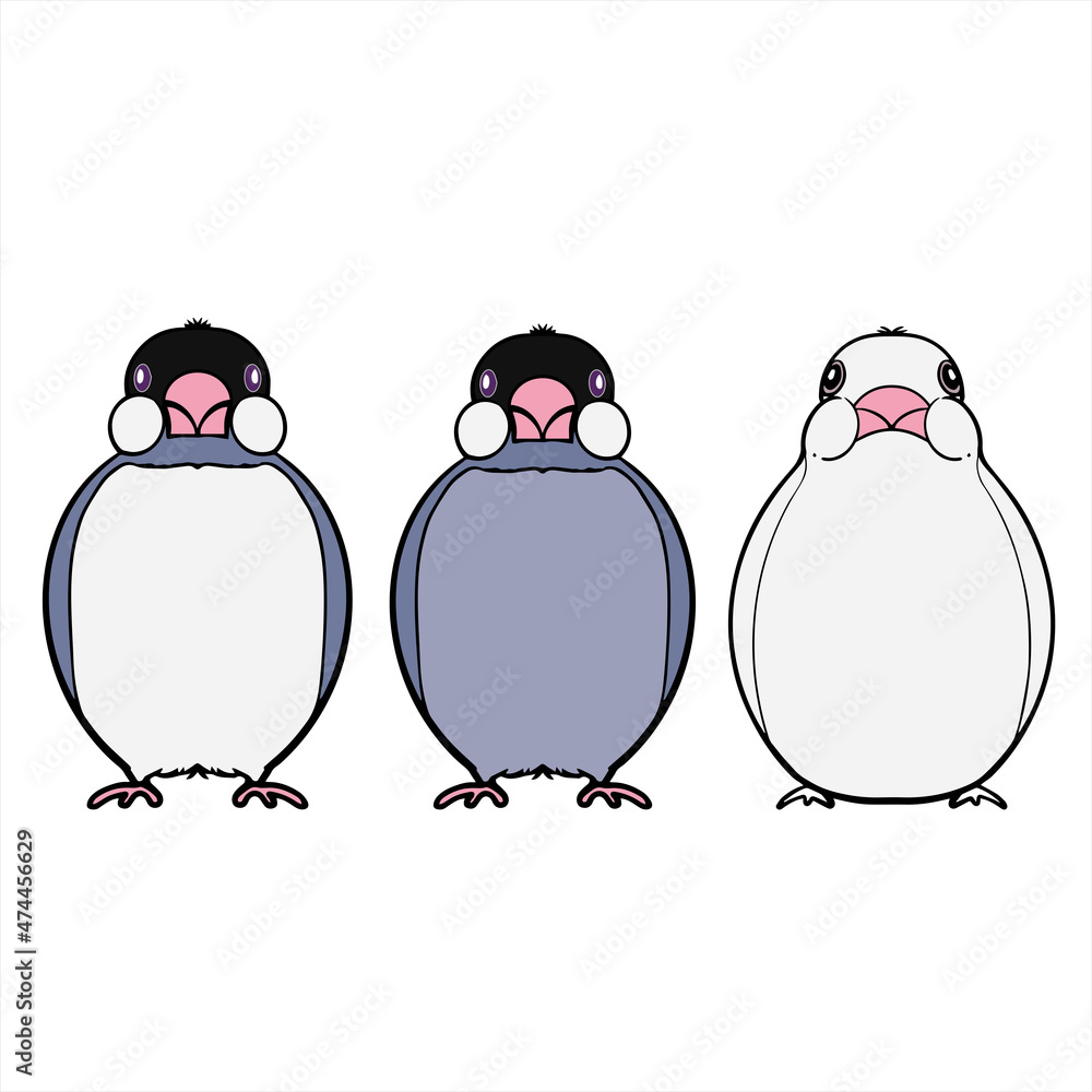 Naklejka premium Java Sparrows