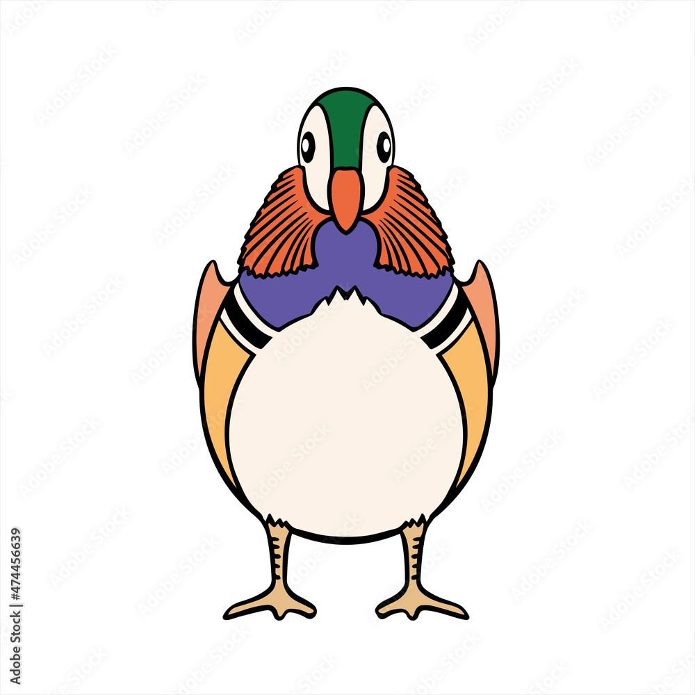 Mandarin Duck Mandarin Duck