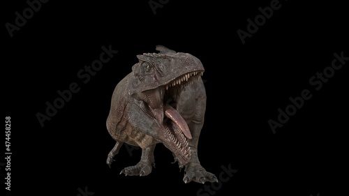 Hybrid Giganotosaurus Cinematic roar animation of background, 3d rendering © racksuz