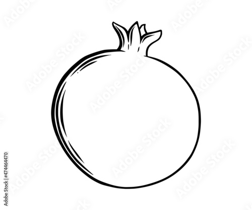 Pomegranate fruit side view. Colored exotic pomegranate fruit. Vector illustration isolated in white background